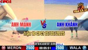 Trận 10 CPC1 15/5/2025 – Anh Mạnh Vs Anh Khánh Sài Gòn