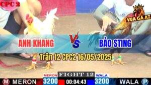 Trận 12 CPC2 16/5/2025 – Anh Khang Vs Anh Bảo Sting