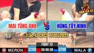 Trận 13 CPC3 7/5/2025 - Dự Bảo Lộc Đến Tang, Con Bung Bồ Con Gãy Giò