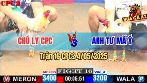 Trận 16 CPC2 4/5/2025 - Gà Úa Anh Tư Mã Ý Đá Không Bỏ Chân Nào