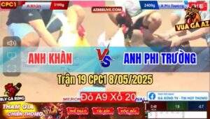 Trận 19 CPC1 8/5/2025 - Cặp Gà Sinh Đôi Đá Bướm Anh Khàn Bỏ Chạy