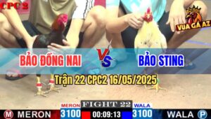 Trận 22 CPC2 16/5/2025 – Anh Bảo Đồng Nai Vs Anh Bảo Sting