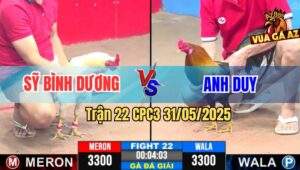 Trận 22 CPC3 31/5/2025 - Anh Sỹ Bình Dường Gặp Anh Duy