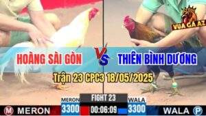 Trận 23 CPC3 18/5/2025 - Gà Úa Anh Hoàng Sài Gòn Dỡ Giò Là Có Kết Quả