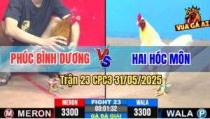 Trận 23 CPC3 31/5/2025 - Chú Phúc Bình Dương Gặp Anh Hai Hóc Môn
