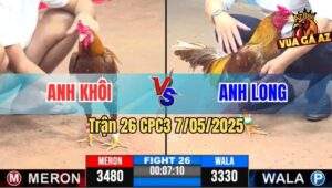 Trận 26 CPC3 7/5/2025 - Xám Vàng Anh Long Đá 1 Tay Nước Lụm Xổ 300