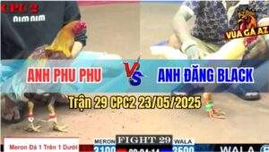 Trận 29 CPC2 23/5/2025 - Úa Anh Đăng Đá 1 Cước Bẻ Giò Điều Anh Phu Phu