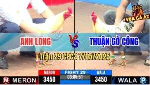 Trận 29 CPC3 7/5/2025 - Anh Tèo Thả Giùm 1 Cước Gà Anh Long Mất Sóng