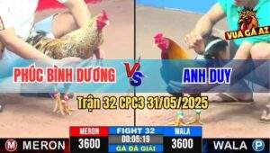 Trận 32 CPC3 31/5/2025 - Cú Tẻo Chú Phúc Bình Dương Đang Thắng Quay Xe