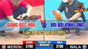 Trận 39 CPC3 18/5/2025 - Gà Khét Bối Bối Hạ Đẹp Điều Cọp Anh Giang