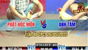 Trận 40 CPC1 26/5/2025 - Gà Úa Có Chân Cúp Điện Gà Bướm Anh Phát