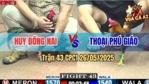 Trận 43 CPC1 26/5/2025 - Gà Khét Anh Thoại Đâm Như Máy Điện