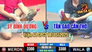 Trận 44 CPC3 18/5/2025 - Anh Tấn Gạo Cần Thơ Gạt Giò Anh Sỹ Bình Dương