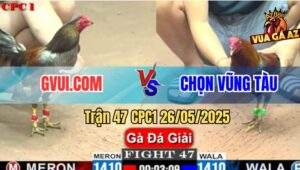 Trận 47 CPC1 26/5/2025 - GVUI.COM Gặp Anh Chọn Vũng Tàu