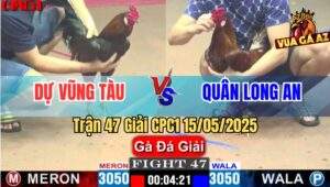 Trận 47 Giải CPC1 15/5/2025 – Anh Dư Vũng Tàu Vs Anh Quân Long An