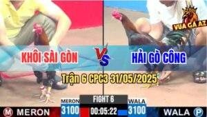 Trận 6 CPC3 31/5/2025 - Anh Khôi Sài Gòn Và Anh Hải Gò Công