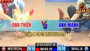 Trận 8 CPC1 15/5/2025 – Anh Thiện Vs Anh Mạnh