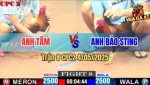 Trận 8 CPC2 4/5/2025 - Anh Bảo Sting Tiếp Tục Hạ Anh Tâm