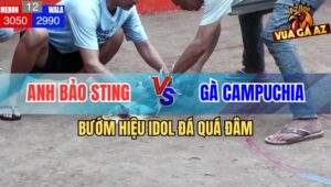 Trận 12 Anh Bảo Sting và Campuchia - Bướm Idol Đâm Đối Thủ Ói Đen Đầu