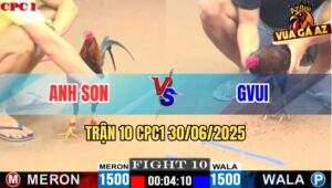 Trận 10 CPC1 30/06/2025 - Que GVUI Bo Khủng Đâm Điều Anh Son Hết Cứu