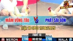 Trận 10 CPC3 11/6/2025 - Gà Bướm Anh Mắm Vũng Tàu Quá Mai Độ