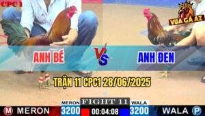 Trận 11 CPC1 28/06/2025 - Gà Điều Bông Anh Khoa Gồng Tang Phản Quá Hay