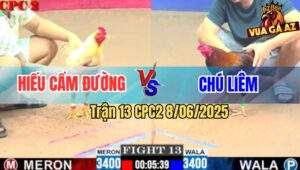 Trận 13 CPC2 8/6/2025 - Điều Việt Lai Chú Liêm Hạ Úa Siu Mỹ Nhanh Gọn