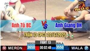 Trận 13 CPC3 22/6/2025 - Anh Tú BC Và Anh Giang Đức Hoà