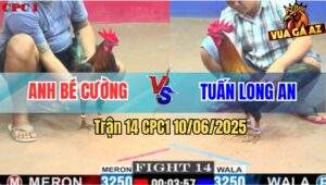 Trận 14 CPC1 10/6/2025 - Anh Bé Cường Và Anh Tuấn Long An