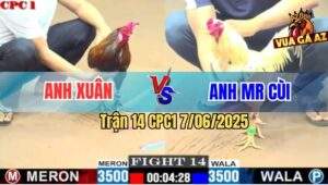 Trận 14 CPC1 7/6/2025 - Điều Đuôi Lao Anh Xuân Đá Toàn Đâm Mu Lưng