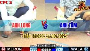 Trận 14 CPC2 27/06/2025 - Gà Bướm Anh Long Đâm Cựa Cực Hiểm Hạ Đối Thủ