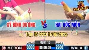 Trận 15 CPC3 11/6/2025 - Khét Đuôi Lao Anh Hai Hóc Môn Đá Toàn Đầu Cần