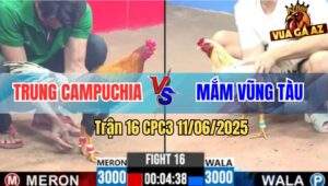 Trận 16 CPC3 11/6/2025 - Anh Trung Campuchia Đụng Độ Anh Mắm Vũng Tàu