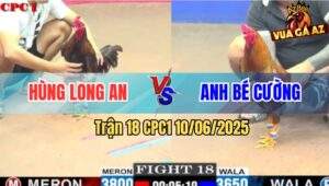 Trận 18 CPC1 10/6/2025 - Anh Hùng Long An Đối Đầu Với Anh Bé Cường