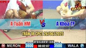 Trận 18 CPC1 26/06/2025 - Anh Tuấn Hóc Môn Vs Anh Khoa Thành Phố