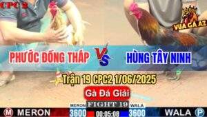 Trận 19 CPC2 1/6/2025 - Anh Phước Đồng Tháp Và Anh Hùng Tây Ninh