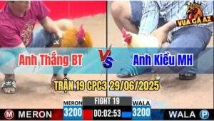 Trận 19 CPC3 29/06/2025 - Anh Thắng Bến Tre Vs Anh Kiều Mộc Hoá
