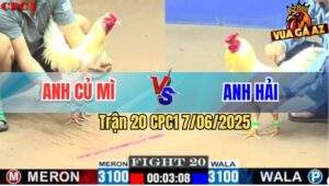 Trận 20 CPC1 7/6/2025 - Bướm Anh Củ Mì Đá Úa Anh Hải Bung Bồ