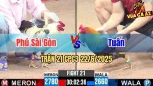 Trận 21 CPC3 22/06/2025 - Anh Phú Sài Gòn Và Anh Tuấn