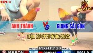 Trận 23 CPC1 9/6/2025 - Anh Thành Đụng Độ Anh Giang Sài Gòn