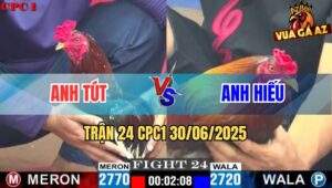 Trận 24 CPC1 30/06/2025 - Anh Gà Bông Đâm Lọt Cựa Nghiệt Hạ Gà Xám