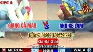 Trận 24 CPC2 1/6/2025 - Anh Giang Cà Mau Và Anh Xe Lam