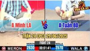 Trận 24 CPC3 29/06/2025 - Anh Minh Long An Vs Anh Tuấn Bình Dương