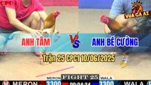 Trận 25 CPC1 10/6/2025 - Camelo Anh Tâm Đá Điều Xanh Banh Nhà Banh Cửa