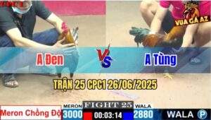Trận 25 CPC1 26/06/2025 - Gà Xám Anh Đen Chồng Độ Lên Lớp 2