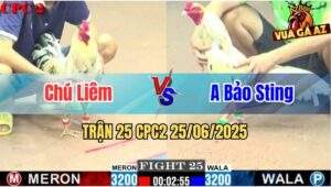 Trận 25 CPC2 25/06/2025 - Gà Anh Bảo Sting Gồng Tới Phút 90 Cứu Chủ