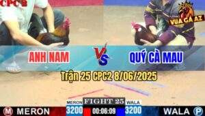 Trận 25 CPC2 8/6/2025 - Anh Nam Tiếp Tục Rớt Nài Với Anh Quý Cà Mau