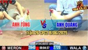 Trận 26 CPC2 8/6/2025 - Úa Anh Quang Đá Bướm Anh Tùng Chạy La Làng