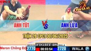 Trận 28 CPC1 30/06/2025 - Gà Điều Bông Anh Tút Chồng Độ Gặp Ngay Cọp