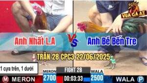 Trận 28 CPC3 22/06/2025 - Anh Nhất Long An Chấp Anh Bé Bến Tre 2 Chấm